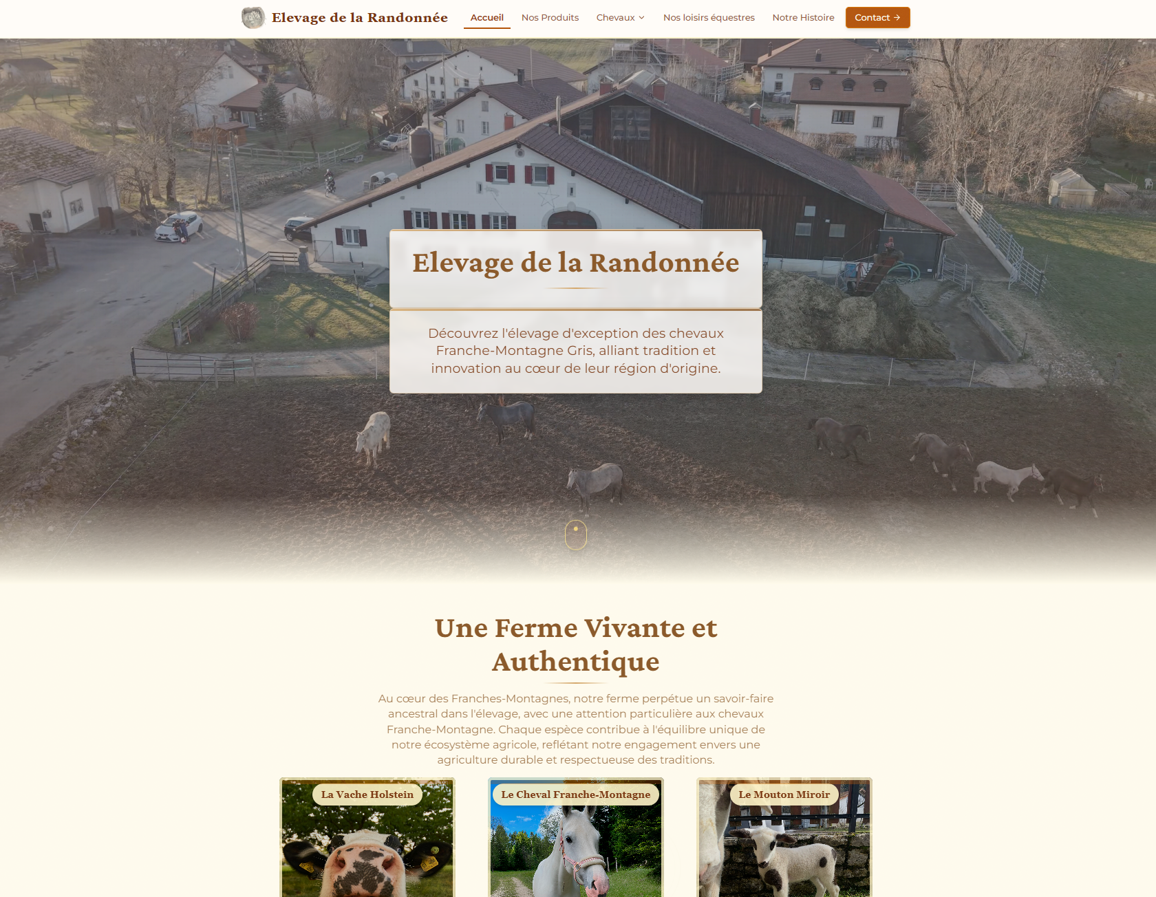 Page d'accueil du site vitrine Élevage FM Gris — élevage de chevaux dans le Jura